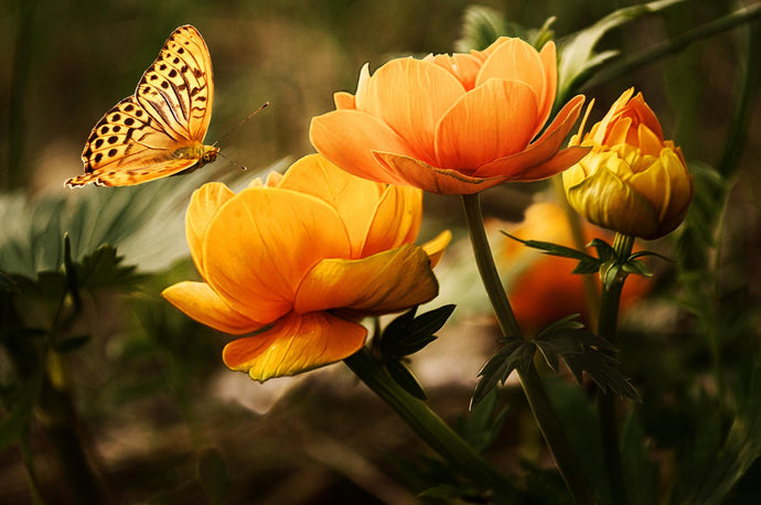 WHY NATURAL MATTERS